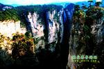 【純玩拼團(tuán)線路6】張家界、黃龍洞、天門山、天子山三晚四日游