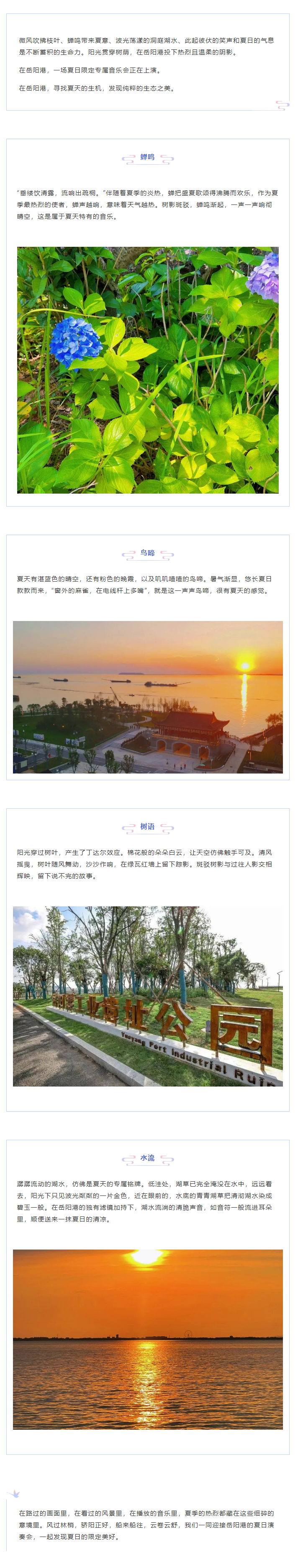 【夏日演奏會】在岳陽港，聆聽夏天的聲音.png